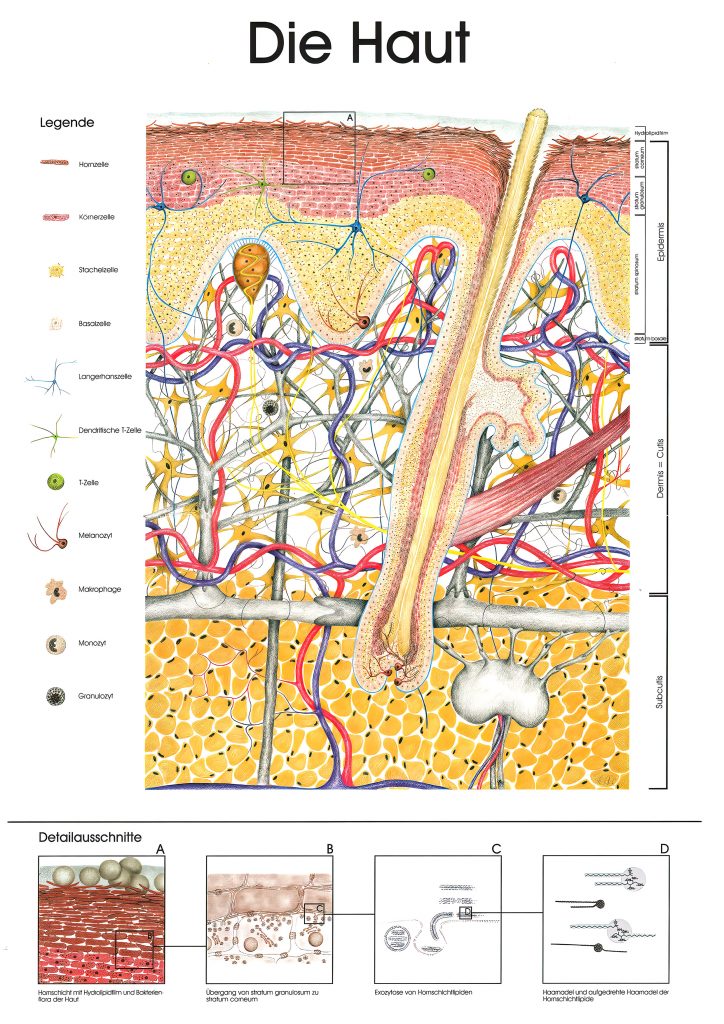 Bibliothek & Materialien Hautquartier Bremen